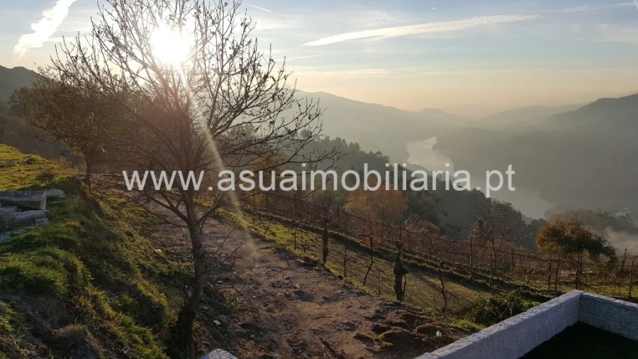 Terreno para Venda em Caniçada e Soengas Foto 5