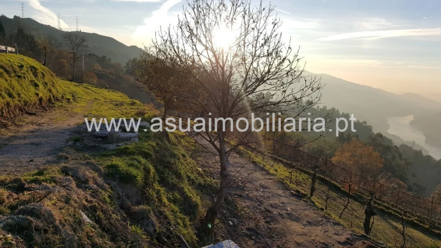 Terreno para Venda em Caniçada e Soengas