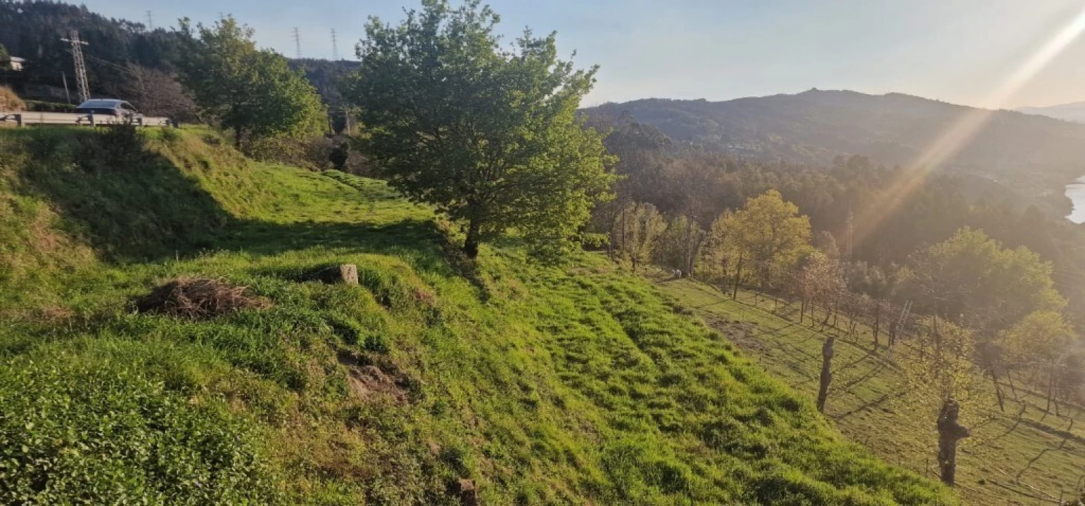 Terreno para Venda em Caniçada e Soengas Foto 2