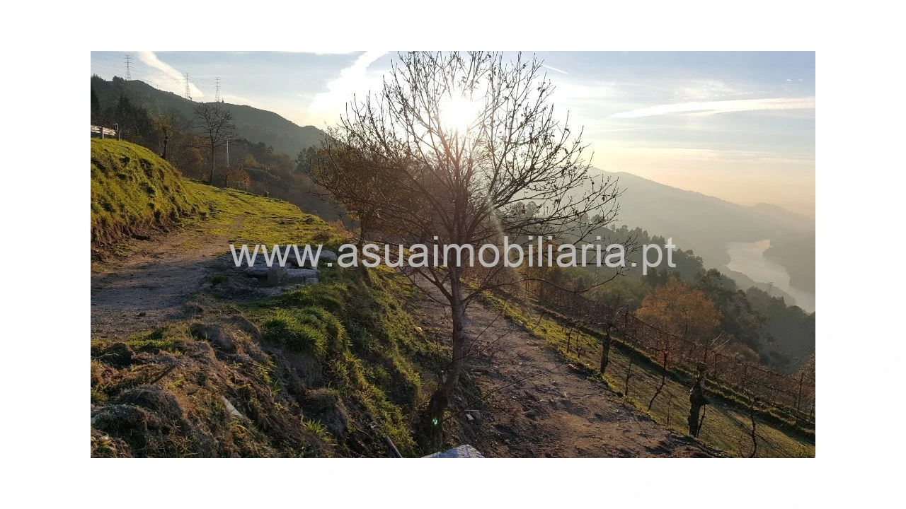 Terreno para Venda em Caniçada e Soengas Foto 1