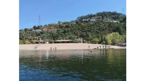 Terreno para Venda em Torres do Mondego