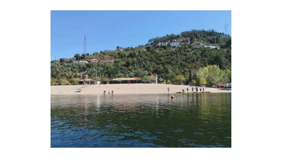 Terreno para Venda em Torres do Mondego Foto 4