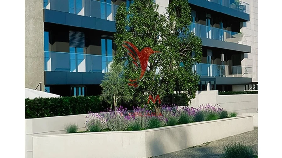 Apartamento T2 para Venda em Paranhos Foto 3