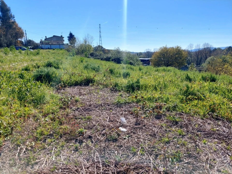 Terreno para Venda em Lago Foto 5