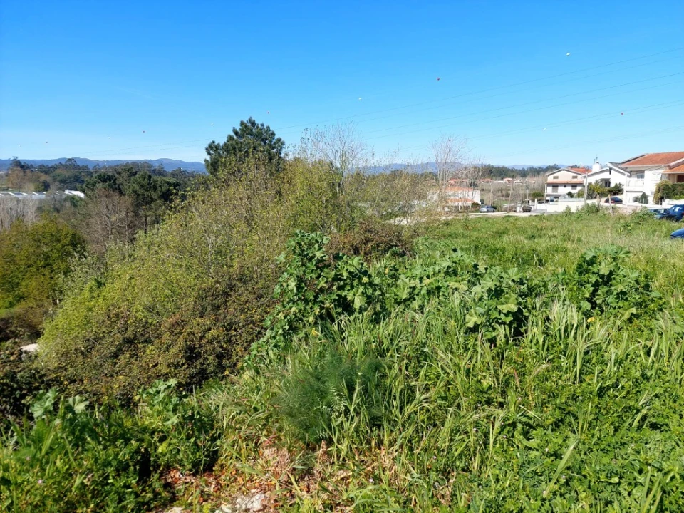 Terreno para Venda em Lago Foto 6