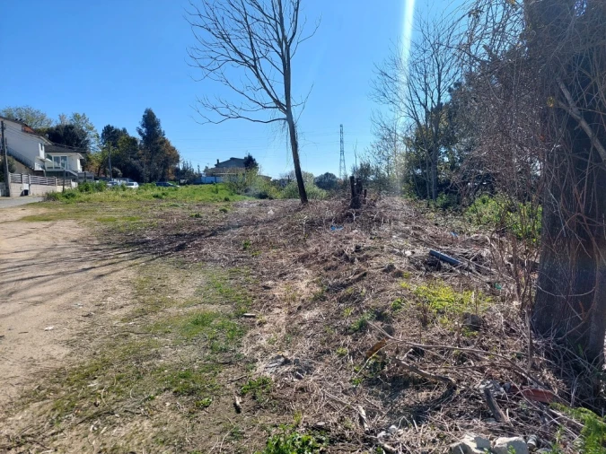 Terreno para Venda em Lago Foto 2