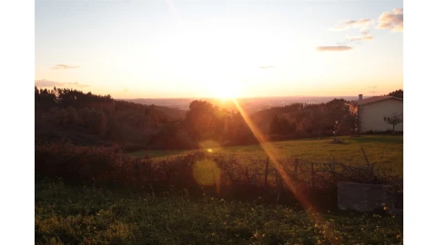 Terreno para Venda em Santo Antonio dos Olivais