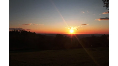 Terreno para Venda em Santo Antonio dos Olivais
