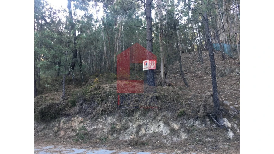 Terreno para Venda em Carreiras (São Miguel) e Carreiras (Santiago) Foto 1