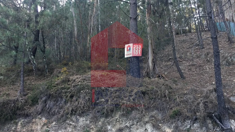 Terreno para Venda em Carreiras (São Miguel) e Carreiras (Santiago)