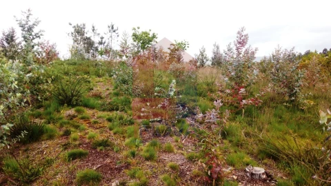 Terreno para Venda em Vila Verde e Barbudo