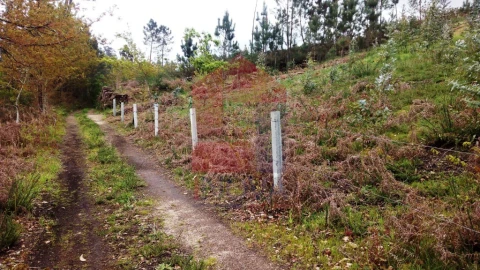 Terreno para Venda em Vila Verde e Barbudo