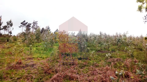 Terreno para Venda em Vila Verde e Barbudo