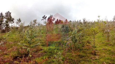 Terreno para Venda em Vila Verde e Barbudo