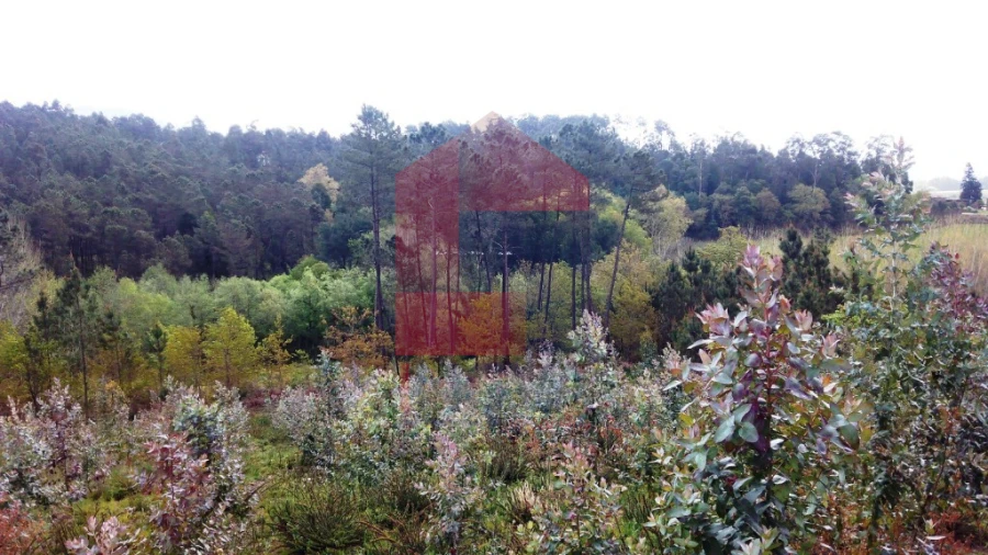 Terreno para Venda em Vila Verde e Barbudo Foto 6