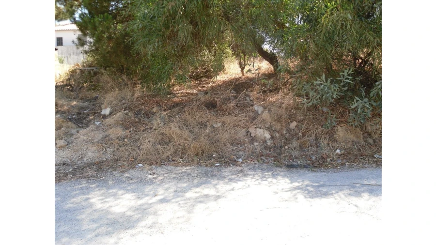 Terreno para Venda em Laranjeiro e Feijó