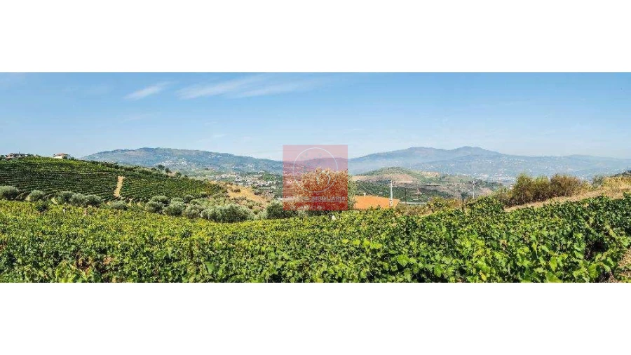 Terreno para Venda em Parada do Bispo e Valdigem Foto 5