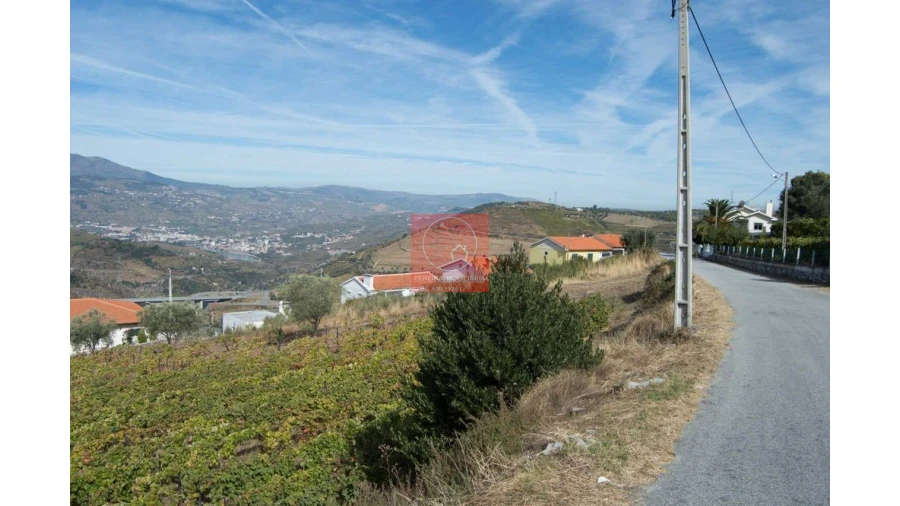 Terreno para Venda em Parada do Bispo e Valdigem Foto 11