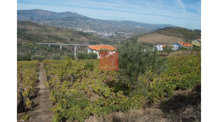 Terreno para Venda em Parada do Bispo e Valdigem Foto 1