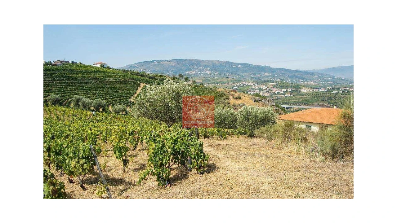 Terreno para Venda em Parada do Bispo e Valdigem Foto 4