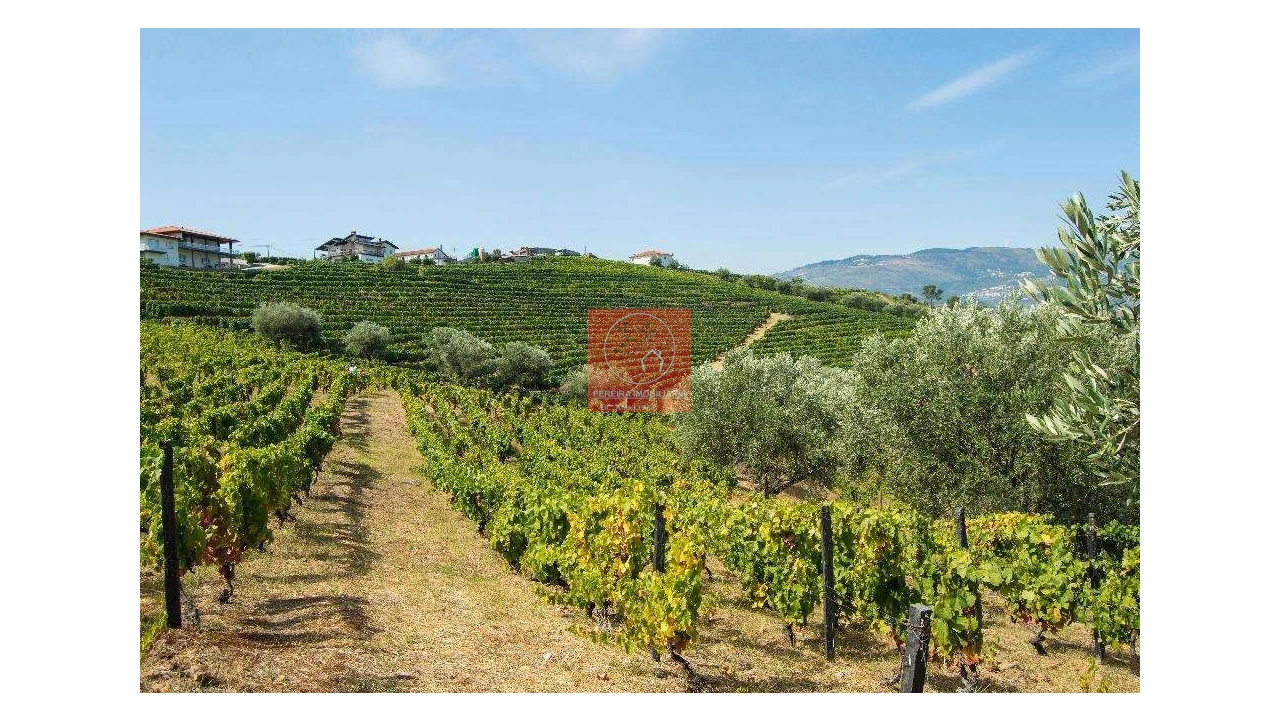 Terreno para Venda em Parada do Bispo e Valdigem Foto 8