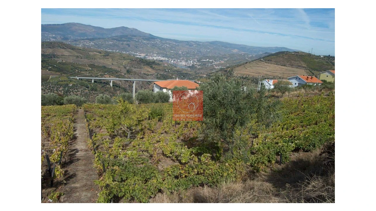 Terreno para Venda em Parada do Bispo e Valdigem Foto 1