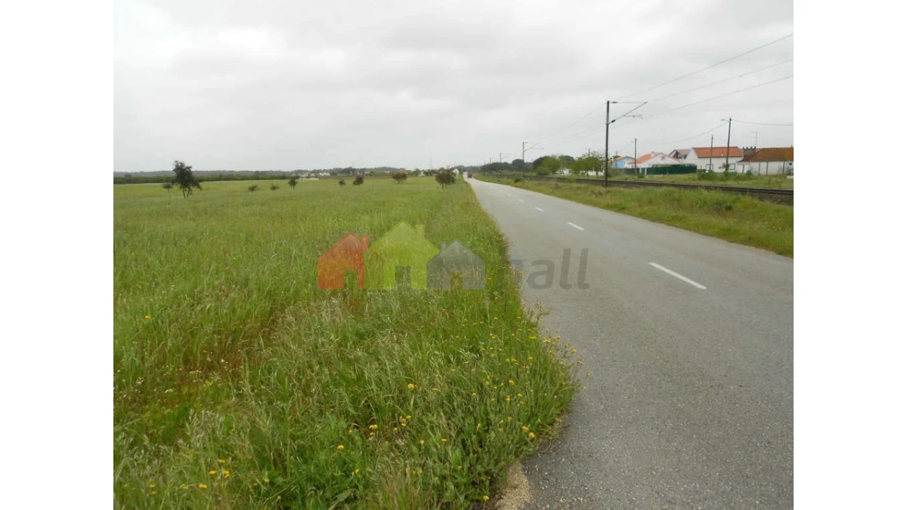 Terreno para Venda em Pegões Foto 3