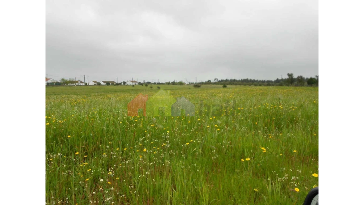 Terreno para Venda em Pegões Foto 1