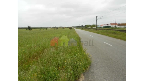 Terreno para Venda em Pegões