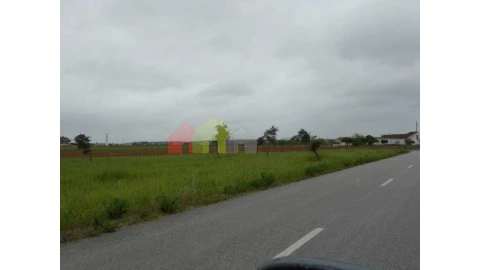 Terreno para Venda em Pegões