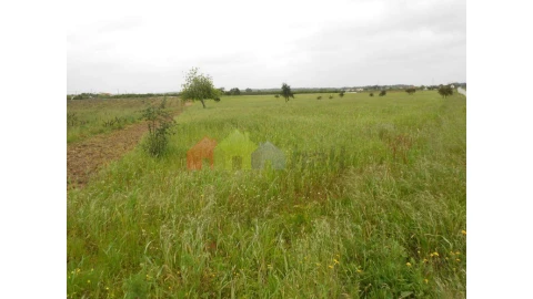 Terreno para Venda em Pegões
