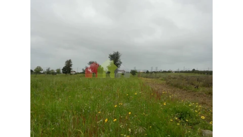 Terreno para Venda em Pegões