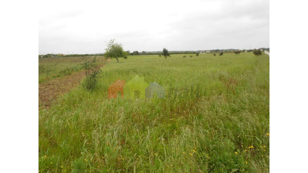 Terreno para Venda em Pegões Foto 2