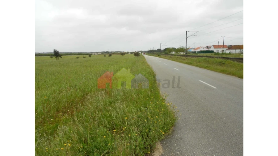 Terreno para Venda em Pegões Foto 3