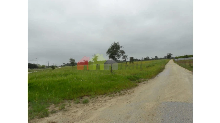 Terreno para Venda em Pegões Foto 6
