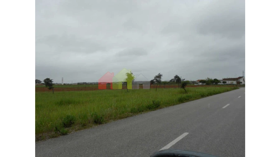 Terreno para Venda em Pegões Foto 5