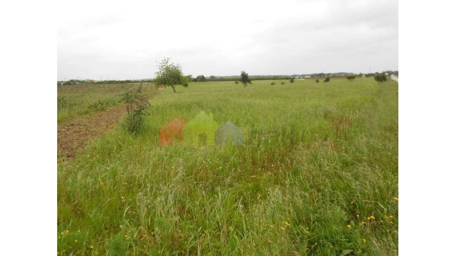 Terreno para Venda em Pegões Foto 2