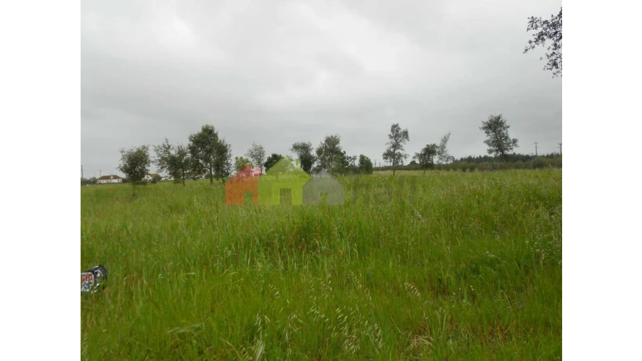 Terreno para Venda em Pegões Foto 7