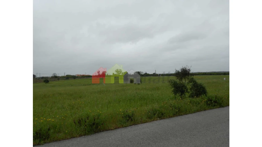 Terreno para Venda em Pegões Foto 4