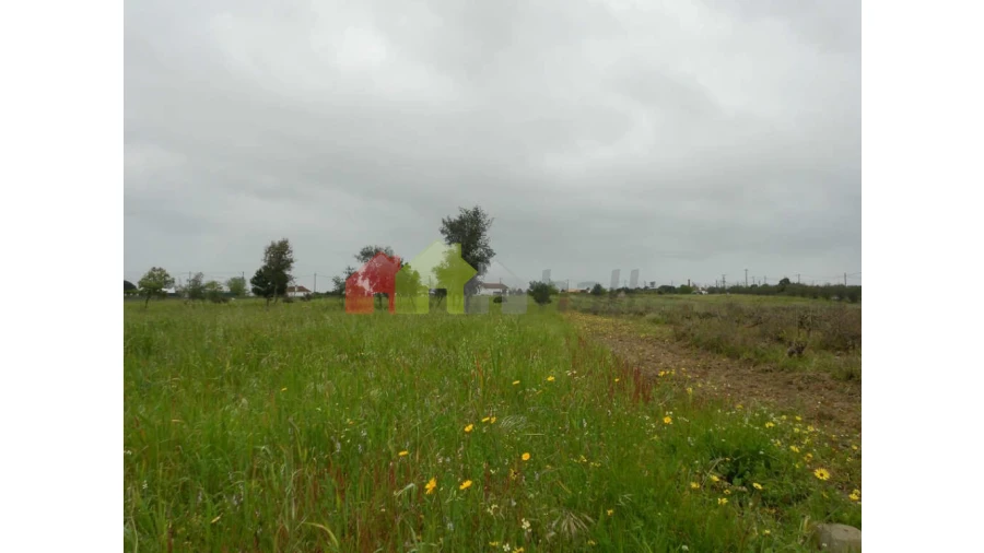 Terreno para Venda em Pegões Foto 8