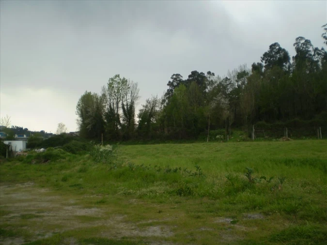 Terreno para Venda em São Torcato Foto 3
