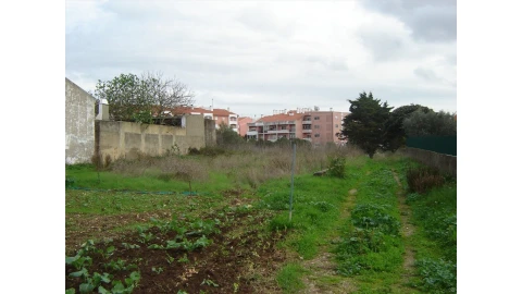 Terreno para Venda em São João das Lampas e Terrugem