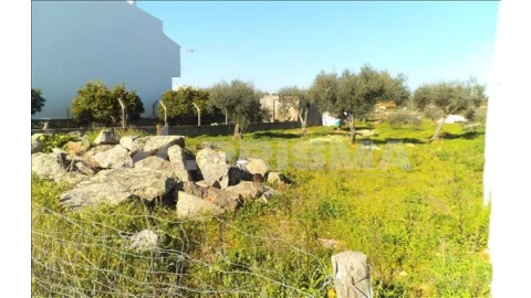 Terreno para Venda em Castelo Branco