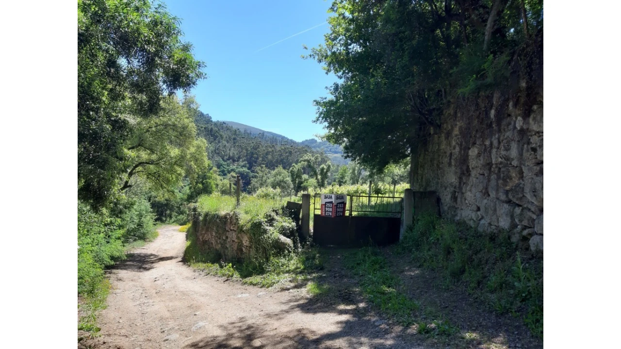 Terreno para Venda em Bouro (Santa Maria) Foto 2