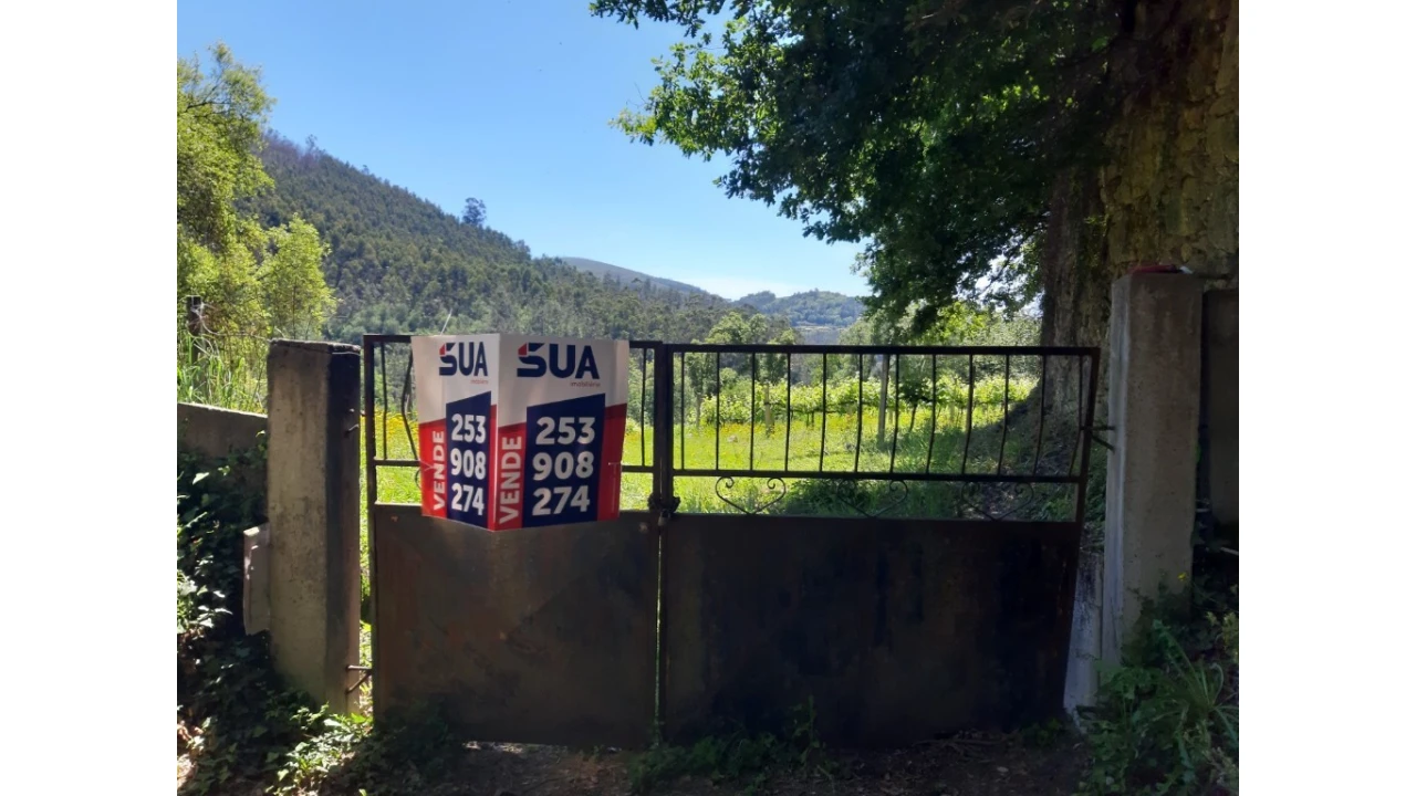 Terreno para Venda em Bouro (Santa Maria) Foto 7