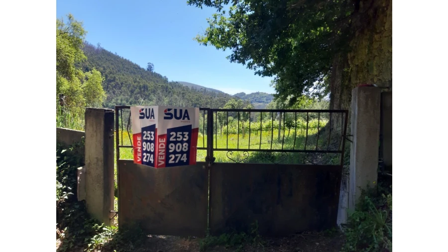 Terreno para Venda em Bouro (Santa Maria) Foto 7