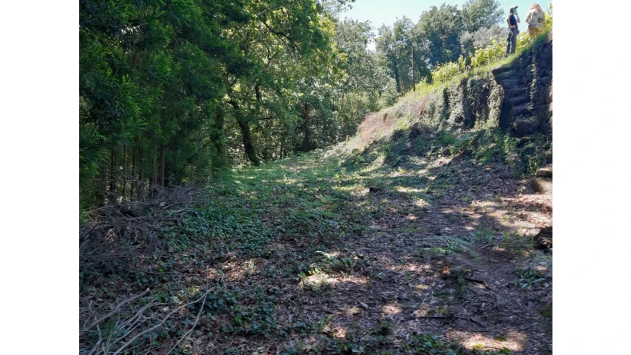 Terreno para Venda em Bouro (Santa Maria) Foto 9