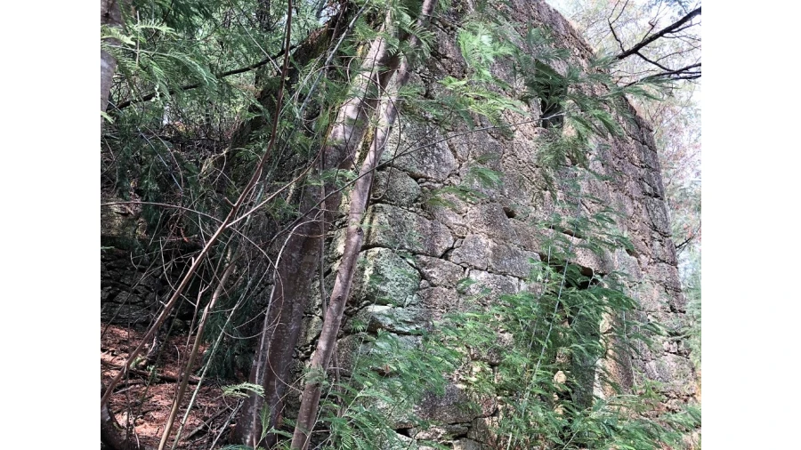 Terreno para Venda em Bouro (Santa Maria) Foto 6