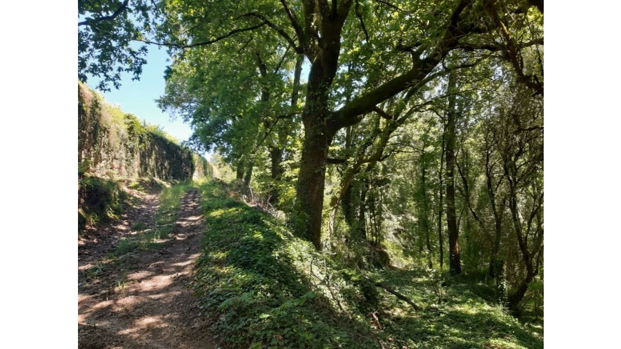 Terreno para Venda em Bouro (Santa Maria) Foto 12