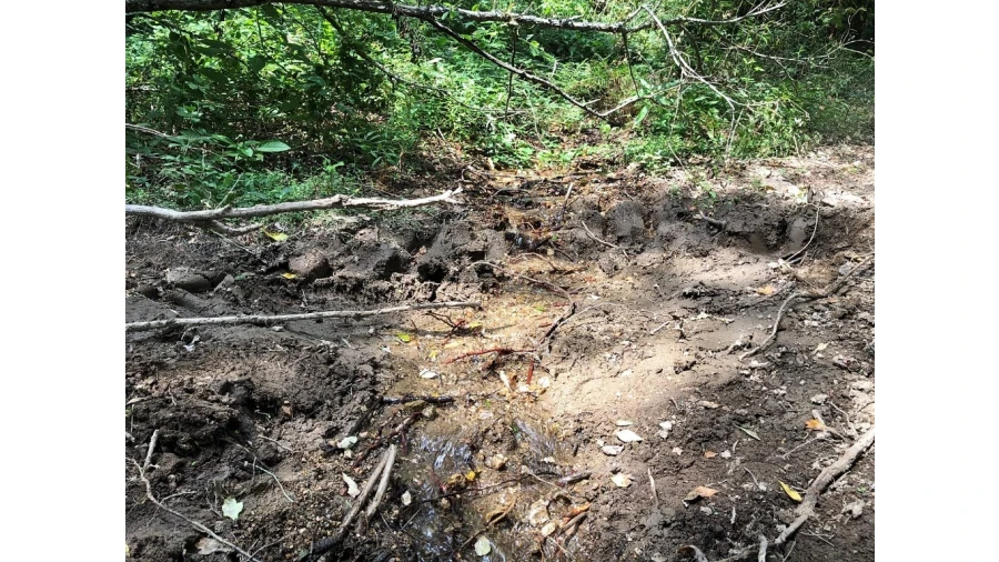 Terreno para Venda em Bouro (Santa Maria) Foto 5